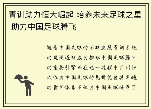 青训助力恒大崛起 培养未来足球之星 助力中国足球腾飞