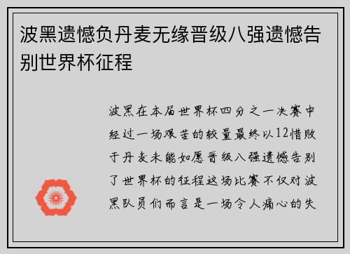 波黑遗憾负丹麦无缘晋级八强遗憾告别世界杯征程